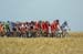 PelowheatTDF4707-021