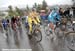 _DSC0100