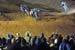 080830_AUS_Canberra_4X_002