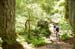 DS_BCBR09_01_0232