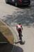 04_Aude_450