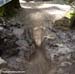 2009 MTB World Cup XCO 6/DH/4X 7