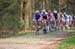 04_13_Drenthe_149