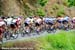 CREDITS: Rob Jones  		TITLE: Tour of California  		COPYRIGHT: CANADIANCYCLIST