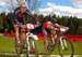 Albion_033