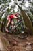 DS_BCBR10_0692