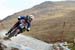 WDHFW10_03459