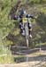 _DSC2453