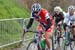 Flanders_216
