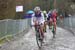 Flanders_236