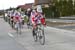 Flanders_480