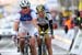 Flanders_520