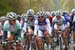 042110_Fleche_175