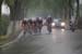 05_09_10_Chongming_504