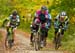 HHCX_013