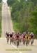Provincials_011