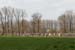 04_01_12_Flanders_076