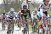 04_01_12_Flanders_218