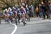 04_01_12_Flanders_425