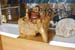 t-one_DSC0386