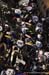 _DSC6364_-_copia