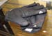 spec2012_gloves