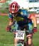 otter03s1w_bisaro