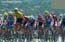 otter03s3wr_peloton
