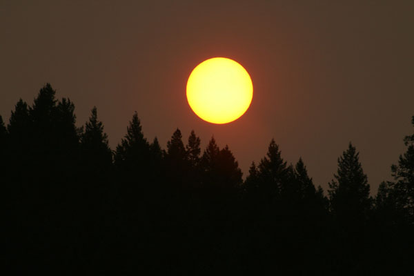 forestfire_sun