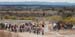 Canberra_1a
