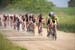 PelodirtroadNV3609-056