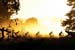 ACE10_STG3_GP_02622