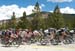 Peloton 		CREDITS:  		TITLE: USA Pro Cycling Challenge, 2011 		COPYRIGHT: © Canadian Cyclist 2011