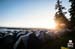 Powell river and it s beach are a highlight of the race 		CREDITS:  		TITLE:  		COPYRIGHT: Margus Riga 2013
