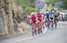 Katusha at he front 		CREDITS: Casey B. Gibson 		TITLE: Amgen Tour of California, 2016 		COPYRIGHT: ¬© Casey B. Gibson 2016