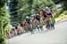 Mens race action 		CREDITS:  		TITLE: Tour de Delta - Delta Road Race 		COPYRIGHT: Oran Kelly | www.Eibhir.com