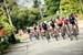Womens race action 		CREDITS:  		TITLE: 2017 BCSuperweek, Tour de White Rock, Road Race 		COPYRIGHT: Oran Kelly | www.Eibhir.com