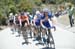 24 riders 		CREDITS:  		TITLE: Amgen Tour of California, 2017 		COPYRIGHT: ?? Casey B. Gibson 2017
