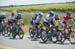 Peter Sagan (Bora-Hansgrohe) 		CREDITS:  		TITLE: Amgen Tour of California, 2017 		COPYRIGHT: ?? Casey B. Gibson 2017