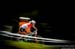 Emily Batty (Can) Trek Factory Racing XC 		CREDITS:  		TITLE:  		COPYRIGHT: Sven Martin 2017