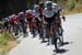 Sebastian Henao Gomez (Team Sky) leads the peloton during stage two 		CREDITS:  		TITLE: 775137808CG00043_Cycling_13 		COPYRIGHT: 2018 Getty Images