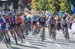 WomenâÄôs Road race (Photo by Casey B. Gibson) 		CREDITS:  		TITLE: 2019 UCI Road World Championships 		COPYRIGHT: ¬© Casey B. Gibson 2019